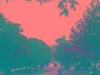 IMGP2780 edited (Medium)